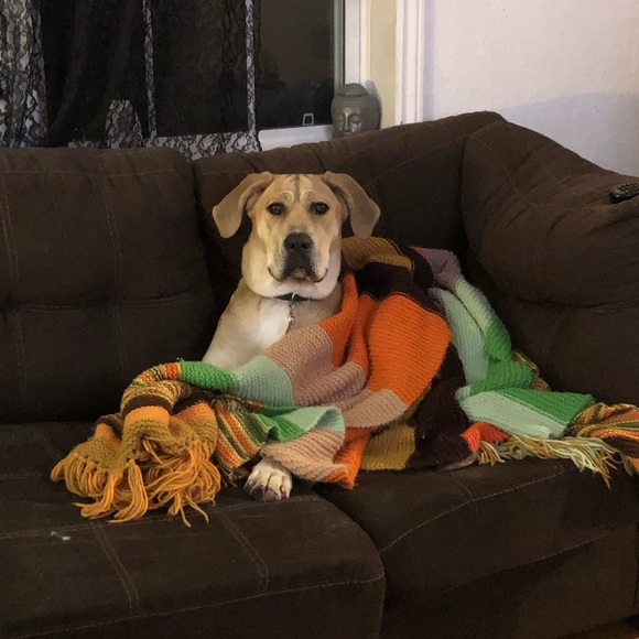 Meet your Posher, Liz - Picture 2 of 4